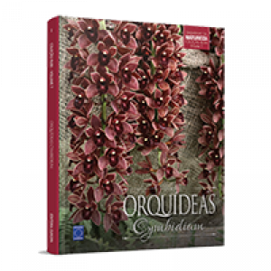 Coleção Rubi - Orquídeas da Natureza Volume 7: Orquídeas Cymbidium