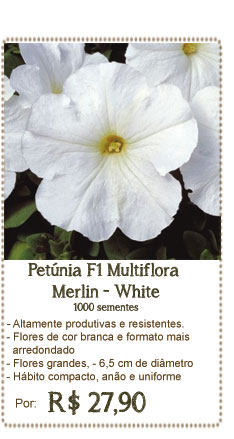 Petunia Merlin White
