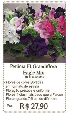 Petunia Eagle Mix