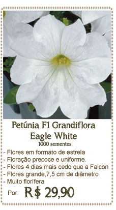 Petunia Eagle White