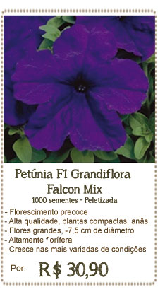 Petunia Falcon Mix