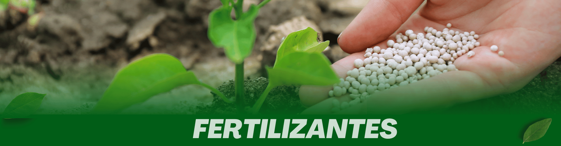 Fertilizantes